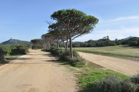 Sardinia Landscape