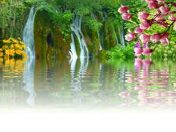 Waterfall Water Landscape