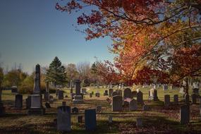 Nature Landscapes Travel