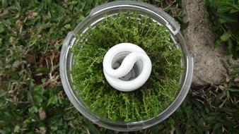 燈 Glass Economizer Light