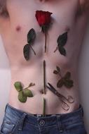 Leaves, siccors and beautiful, red rose on the chest of the man