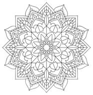 floral flower mandala decorative