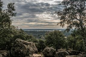 Navalcan Path Of The Birds