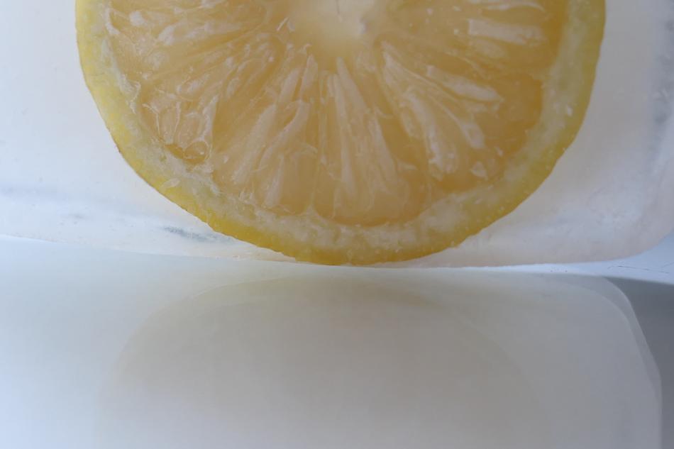 Lemon slice on a white background