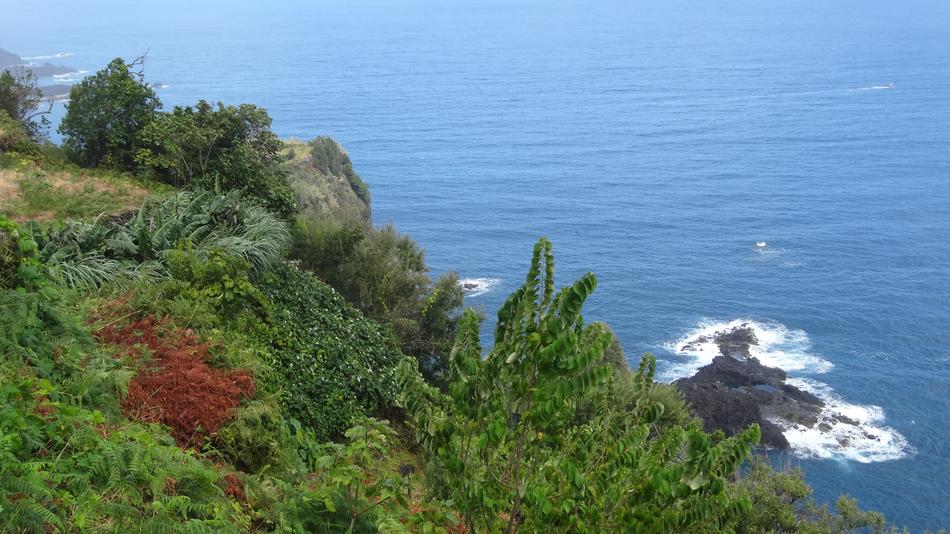 Nature Sea Landscape