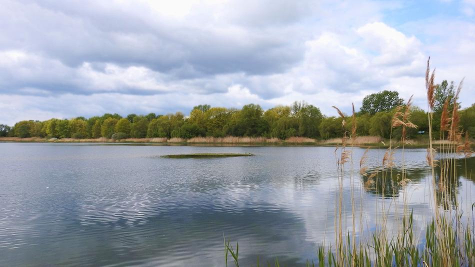 landscape of lake Water bank
