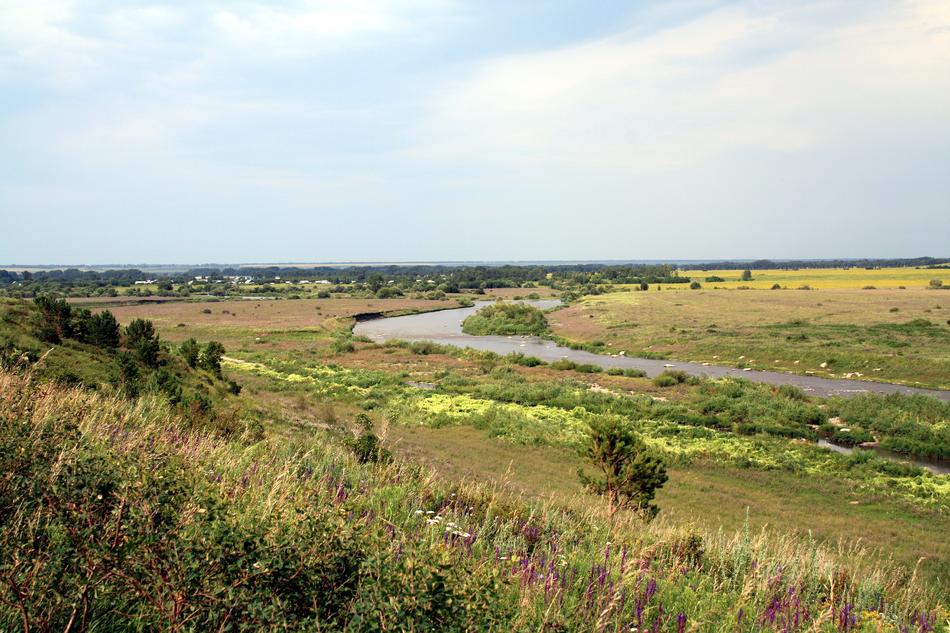a field of flowers and a river