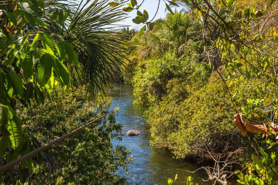 Zipline Rio Nature view