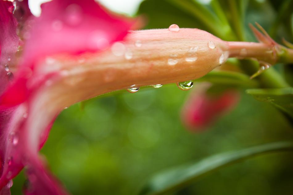 the colors are beautiful with the drops