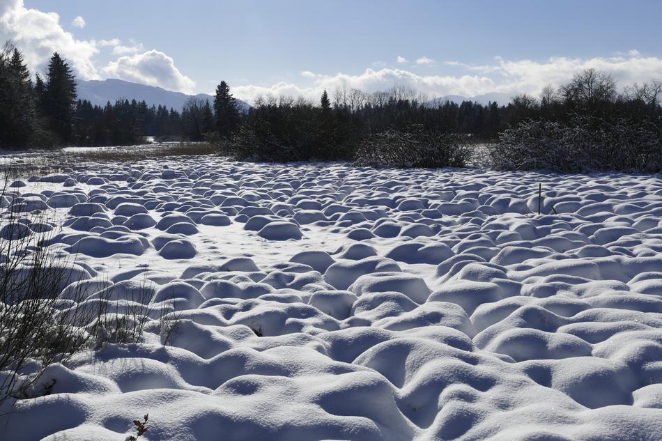 Snow Winter Nature