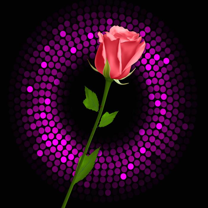 a red rose in a purple circle.