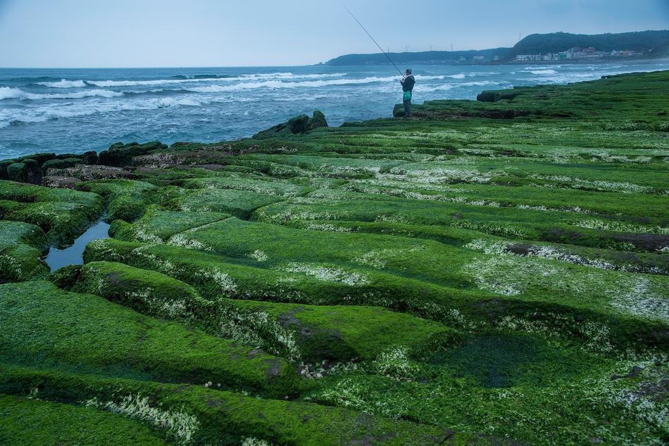 seashore green reef