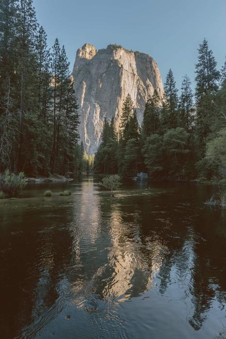 rock with the trees by the lake