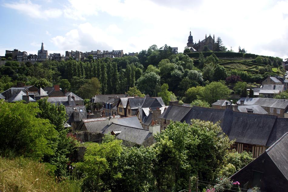 Ferns Brittany Ille-Et-Vilaine