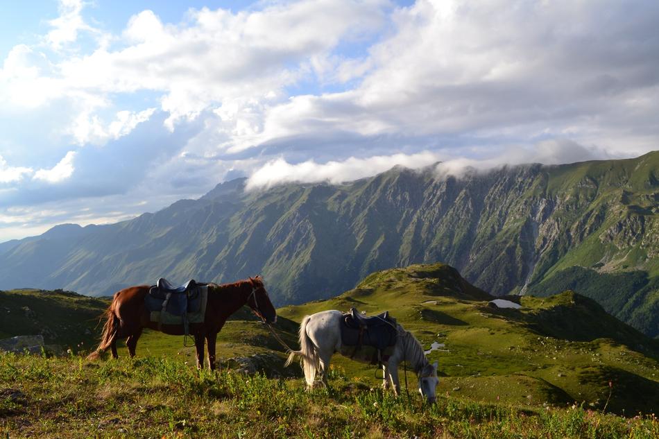 Horse Mountains