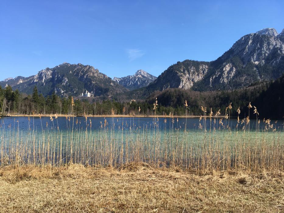Kristin Lake Nature view