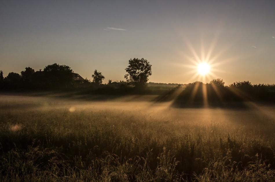 Fog Sunrise Sun