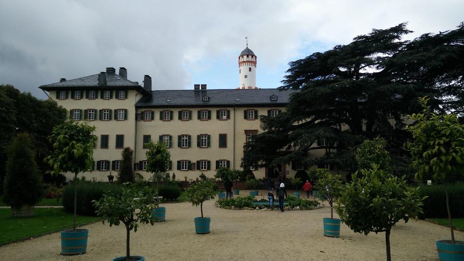 Bad Homburg Castle Landmark