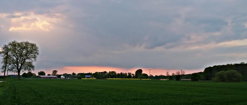 meadow with trees in the clouds with sunshine