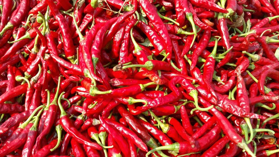 chili pepper background