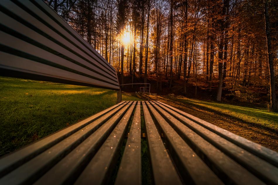Wallpaper Background Nature