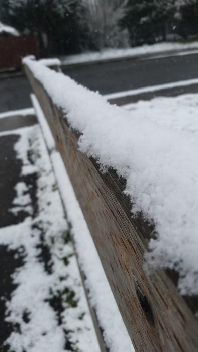Snow Winter Outdoors