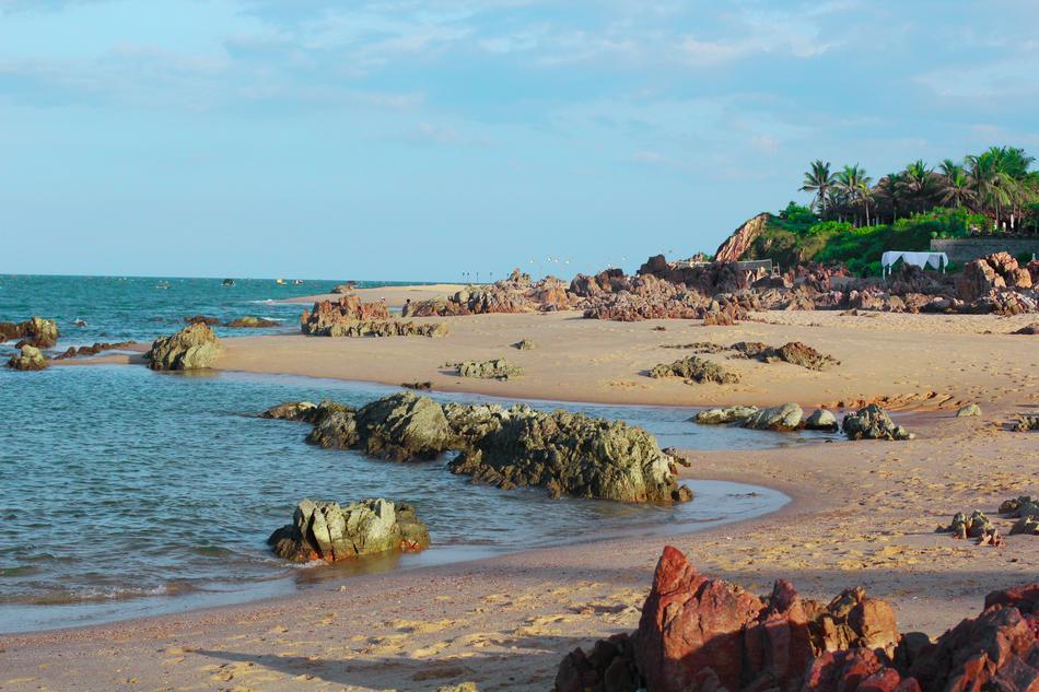 Shoreline Scenery Landscape