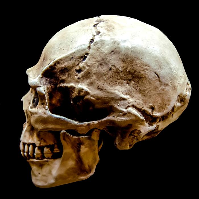 Representation of Gloomy skull