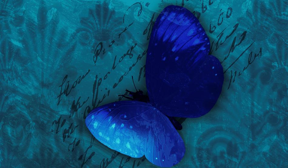 Butterfly Background Blue