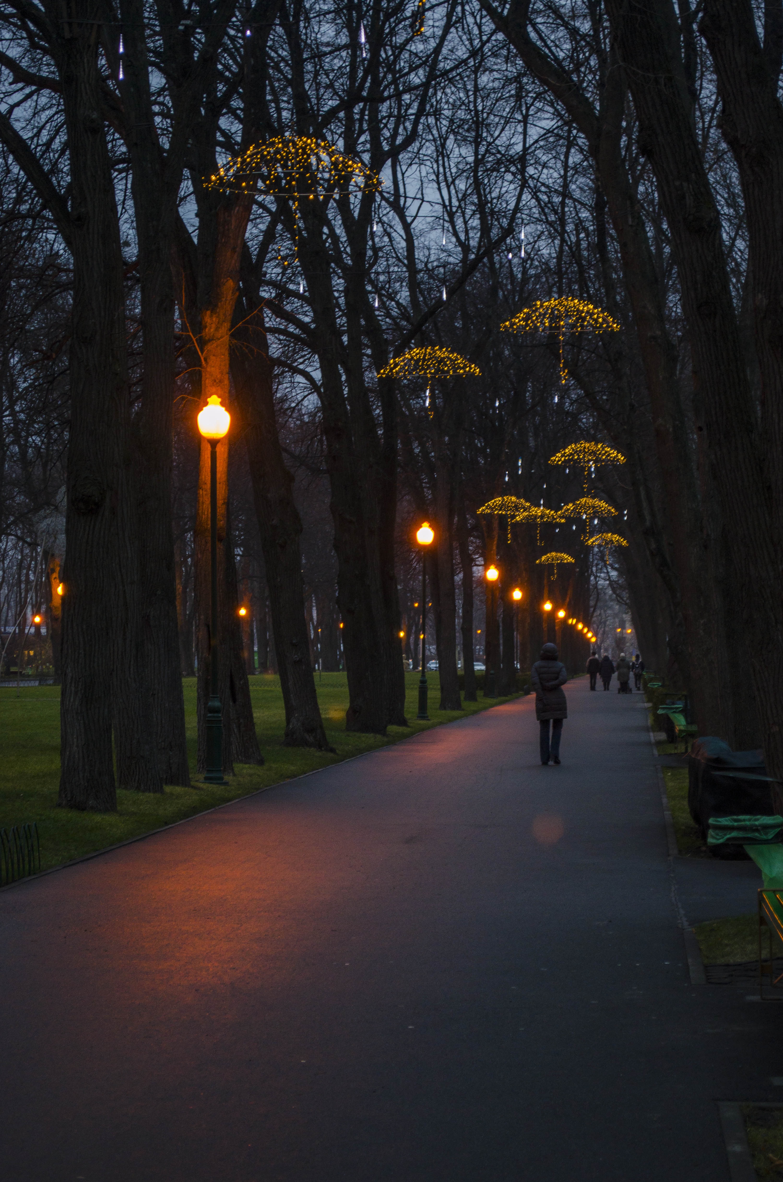 парк ночью