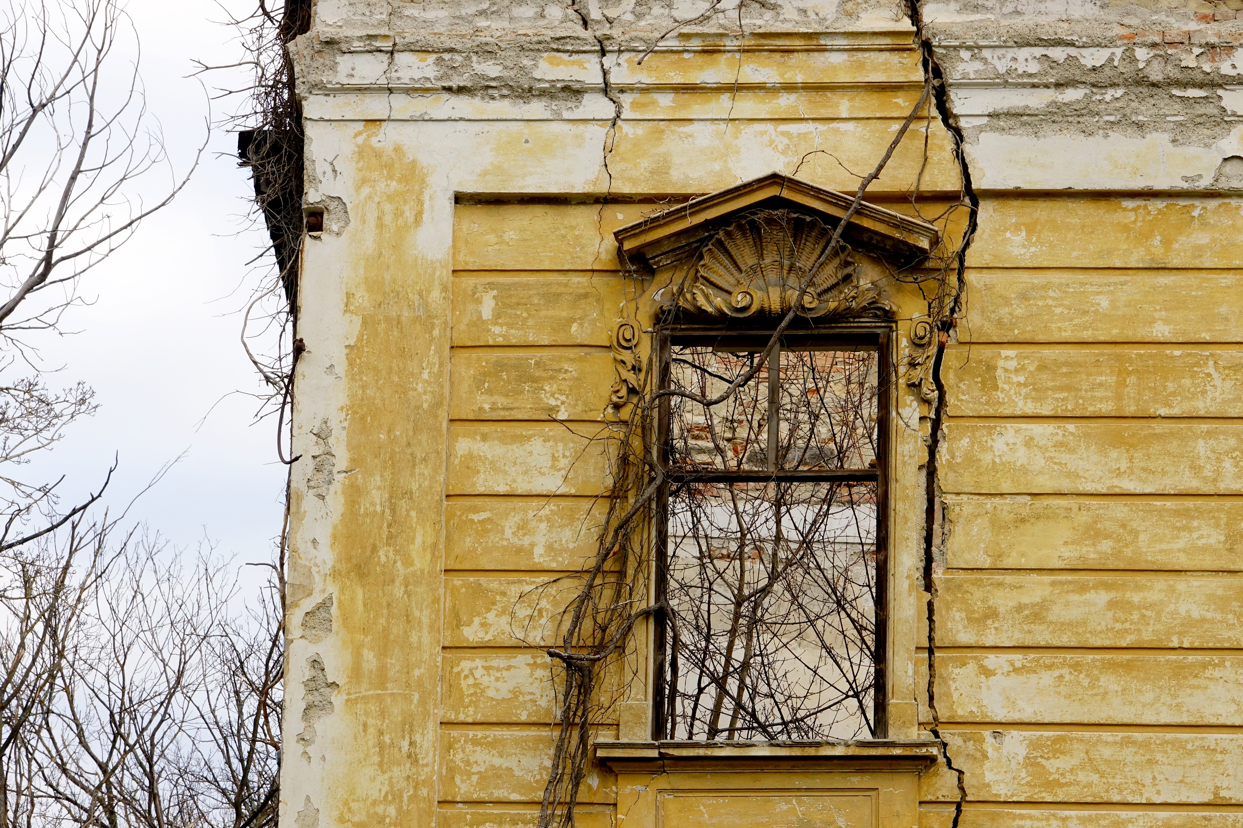 Первые окна. Исторические окна. Старое окно историческое. 