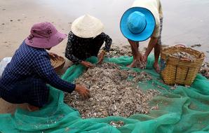 People in hats, on the sandy beach of the fishing village in Vietnam