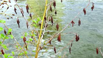 Monolithic Part Of The Waters