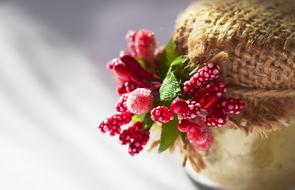 Flower Picture Background