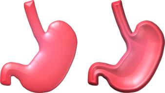 3d organ pink as an illustration
