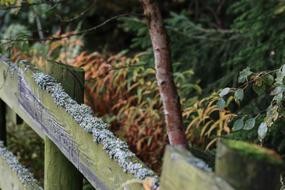 Landscape Autumn Fall