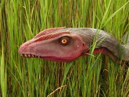 Dinosaur Nature Prehistory