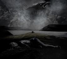 Raven Landscape Lake