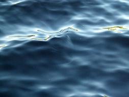 Water Reflection Lake