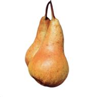 ripe pears on a white background