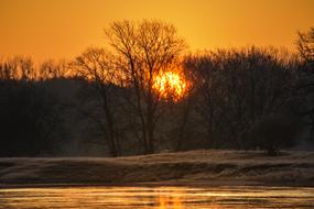 Sunrise River Trees Close