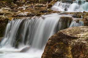 Foghorn Wrinkle Bach Tobel