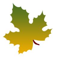 leaf autumn dried leaves nature