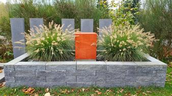 Horticulture Garden Grass