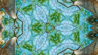 Forest Kaleidoscope Pattern