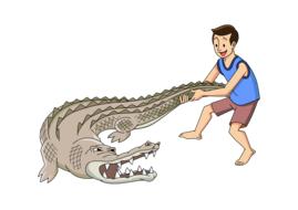 young man pulls the crocodile's tail