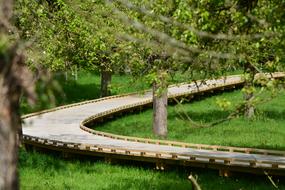 Nature Landscape Walking Path