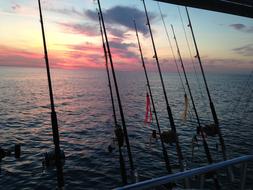 Fishing Ocean