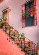 Mexico Guanajuato City
