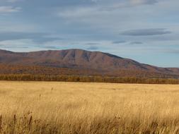 Fields Late Autumn Grass